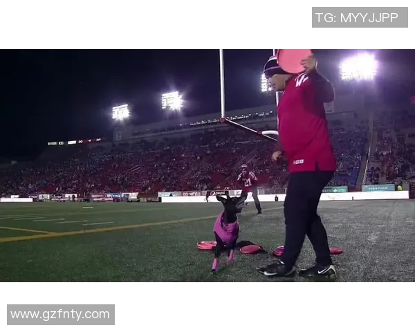 重庆飞盘队区域防守策略深度解析与战术应用探讨